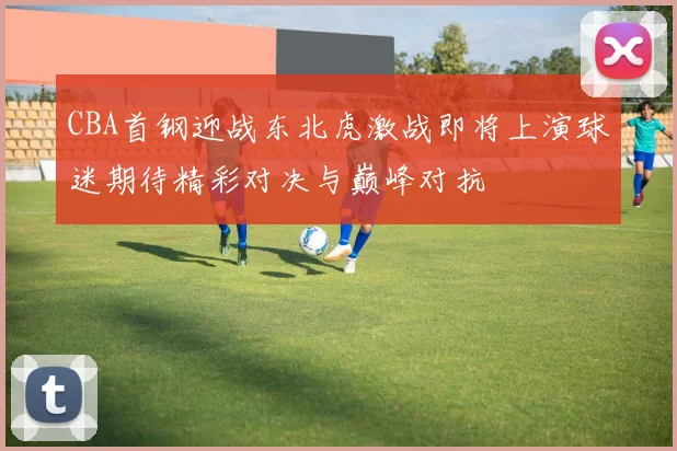 CBA首钢迎战东北虎激战即将上演球迷期待精彩对决与巅峰对抗