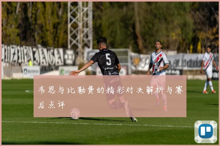 韦恩与比勒费的精彩对决解析与赛后点评