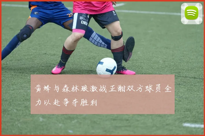 黄蜂与森林狼激战正酣双方球员全力以赴争夺胜利
